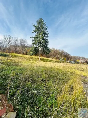 Prodej pozemku pro bydlení, Krnov, 1306 m2