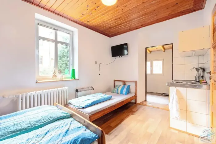 Prodej chalupy, Ludvíkov, 510 m2