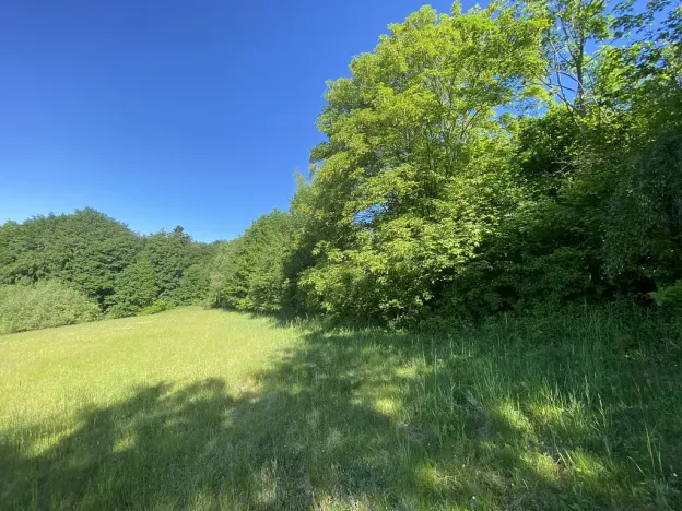 Prodej lesa, Svébohov, 3625 m2