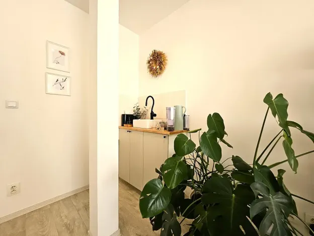 Pronájem komerční, Brno, Masarykova, 23 m2