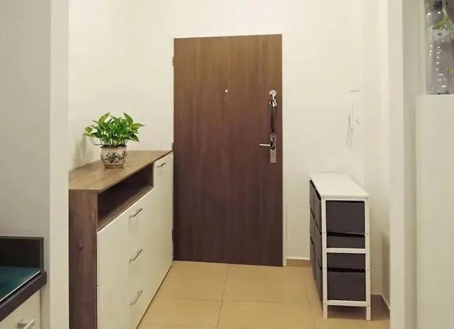 Pronájem bytu 1+kk, Brno, Příční, 42 m2