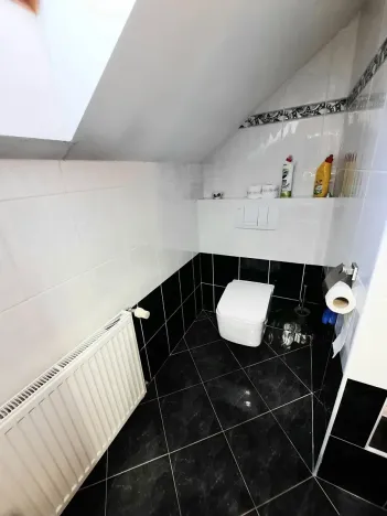 Pronájem rodinného domu, Liberec, Irkutská, 250 m2