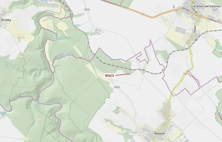Dražba lesa, Březník, 234 m2