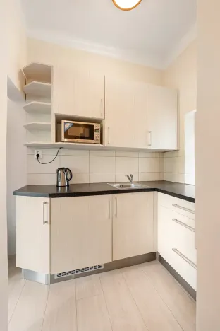 Prodej bytu 1+kk, Brno, Drobného, 30 m2