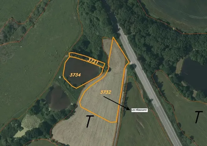 Prodej louky, Netolice, Mírové Náměstí, 2882 m2