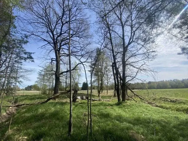 Prodej pozemku, Hranice, 1061 m2