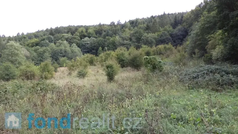 Prodej pozemku, Traplice, 19641 m2