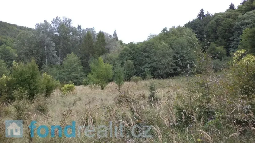 Prodej pozemku, Traplice, 19641 m2