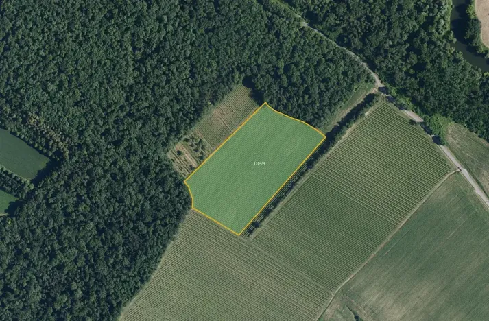 Prodej sadu/vinice, Bulhary, 63228 m2