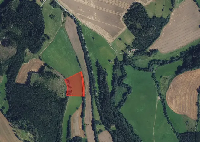 Prodej louky, Borovnice, 16910 m2