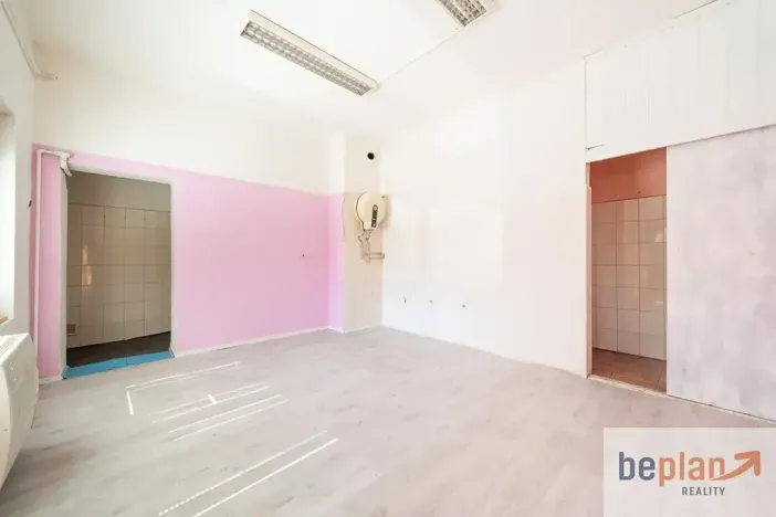 Prodej vícegeneračního domu, Kynšperk nad Ohří, Jana Nerudy, 260 m2