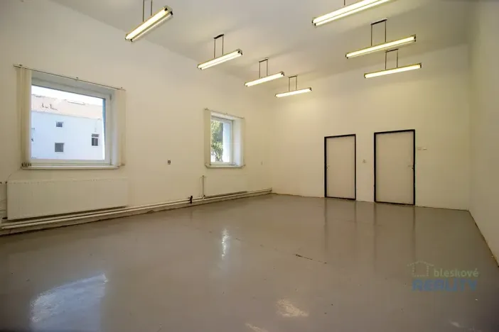 Pronájem skladu, Brandýs nad Labem-Stará Boleslav, Pražská, 45 m2