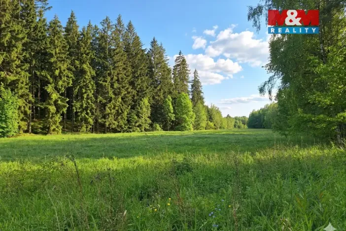 Prodej louky, Bor - Skviřín, 1522 m2
