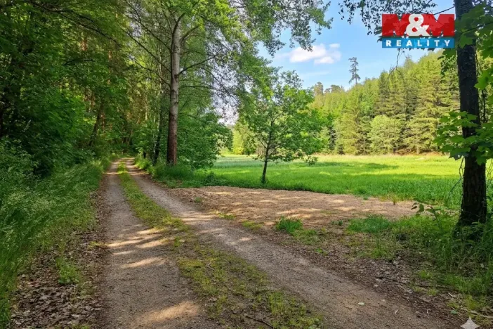 Prodej louky, Bor - Skviřín, 1522 m2