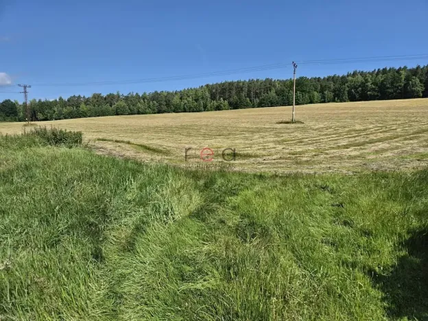Prodej pozemku pro bydlení, Cvikov, 1725 m2