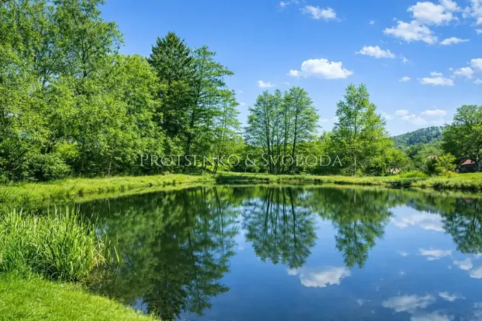 Prodej chalupy, Ždírec nad Doubravou, 290 m2