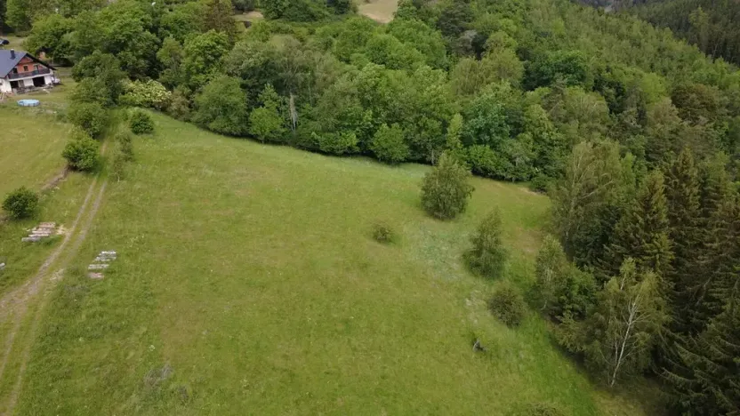 Prodej pozemku pro bydlení, Planá, 2215 m2