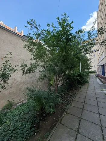 Prodej bytu 3+1, Praha, Hartigova, 64 m2