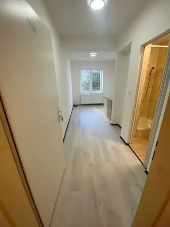 Pronájem bytu 1+kk, Praha - Hlubočepy, Na Zlíchově, 23 m2