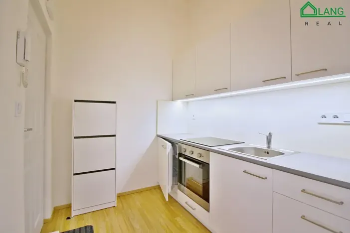 Pronájem bytu 1+kk, Brno, Koliště, 25 m2