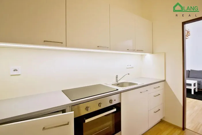 Pronájem bytu 1+kk, Brno, Koliště, 25 m2