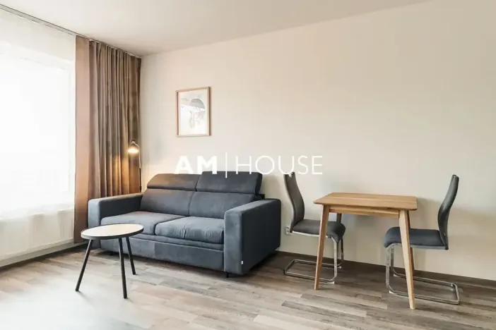 Pronájem bytu 1+kk, Praha - Vysočany, Strnadových, 34 m2