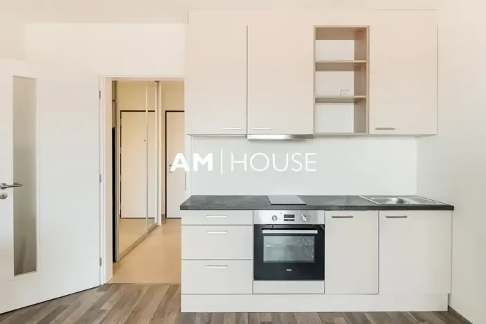 Pronájem bytu 1+kk, Praha - Vysočany, Strnadových, 34 m2