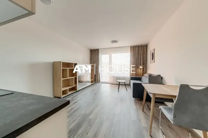 Pronájem bytu 1+kk, Praha - Vysočany, Strnadových, 34 m2