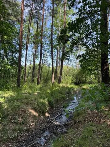 Prodej pozemku, Třeboň, 3744 m2