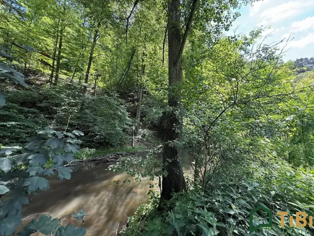 Prodej louky, Bílovice nad Svitavou, 3200 m2