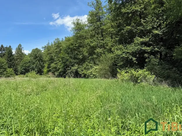 Prodej louky, Bílovice nad Svitavou, 3200 m2