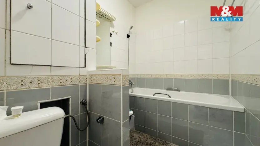 Pronájem bytu 2+1, České Budějovice - České Budějovice 3, Plzeňská, 50 m2