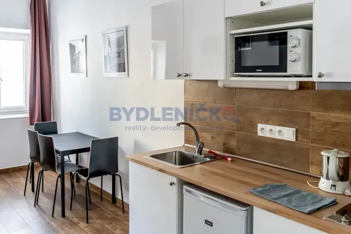 Pronájem bytu 1+kk, České Budějovice, Nová, 30 m2