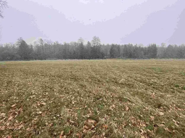 Prodej pozemku, Jindřichův Hradec - Horní Žďár, 16799 m2