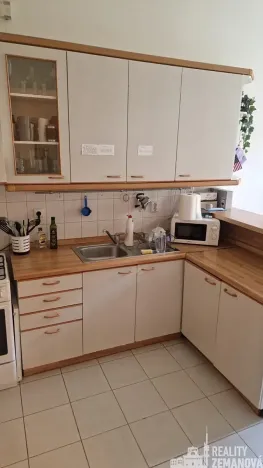 Pronájem bytu 2+kk, Praha - Vinohrady, Mánesova, 46 m2