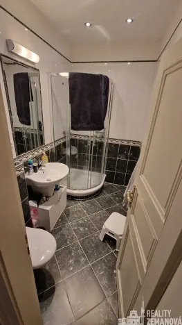 Pronájem bytu 2+kk, Praha - Vinohrady, Mánesova, 46 m2