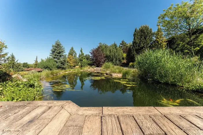 Prodej rodinného domu, Vážany, 367 m2