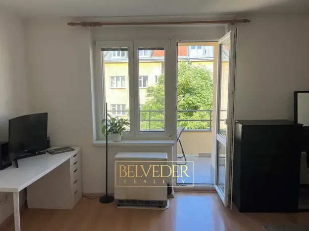 Pronájem bytu 1+kk, Praha - Nusle, Bohuslava ze Švamberka, 25 m2
