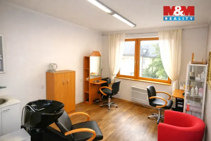 Pronájem obchodního prostoru, Ostrava - Mariánské Hory, 28. října, 25 m2