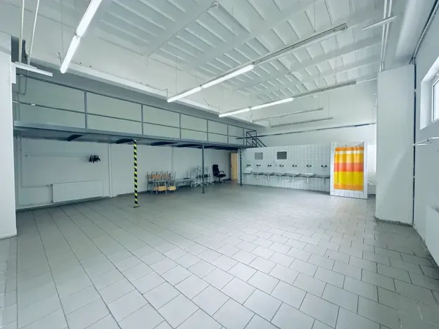 Pronájem výrobních prostor, Chodová Planá, Kyjovská, 2497 m2