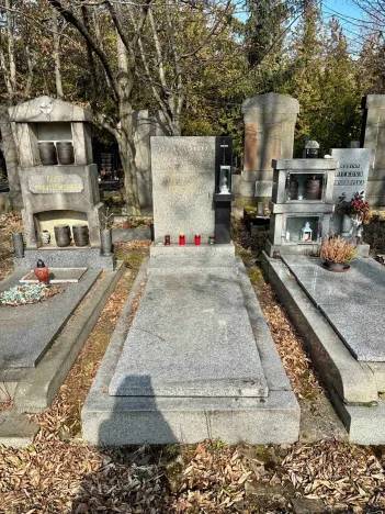 Prodej - jiné, Praha - Vinohrady, Vinohradská, 3 m2