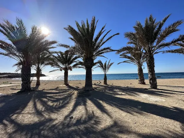 Prodej bytu 3+kk, Avenida Vincente Blasco Ibáňez, Santa Pola, COSTA BLANCA, Španělsko, 55 m2