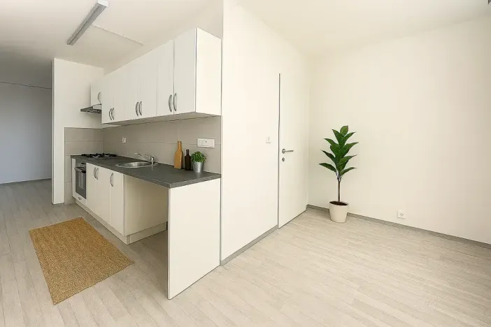 Pronájem bytu 2+1, Litvínov, Mládežnická, 67 m2