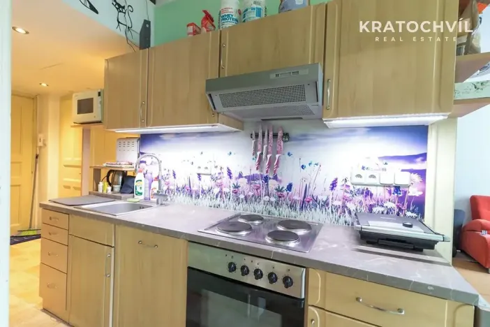 Pronájem bytu 2+kk, Praha - Žižkov, Rečkova, 48 m2
