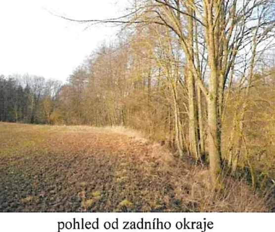 Prodej lesa, Tis, 1692 m2