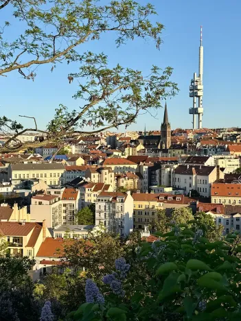 Prodej bytu 2+kk, Praha - Žižkov, Dalimilova, 50 m2