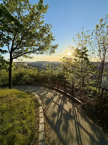 Prodej bytu 2+kk, Praha - Žižkov, Dalimilova, 50 m2