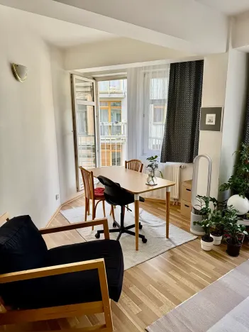 Prodej bytu 2+kk, Praha - Žižkov, Dalimilova, 50 m2