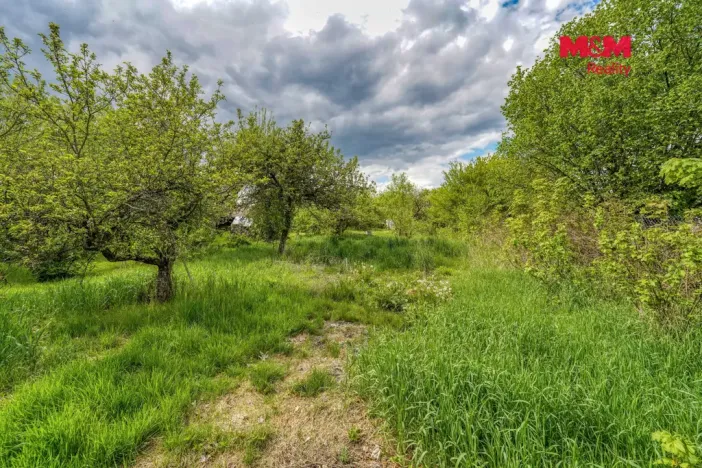 Prodej chalupy, Neurazy - Soběsuky, 138 m2