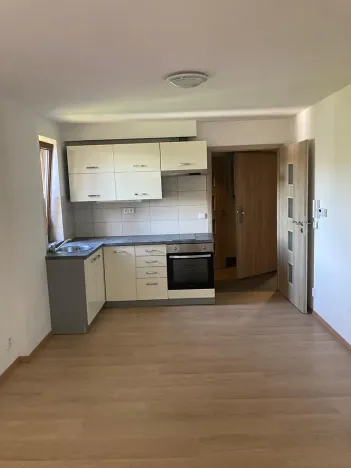 Pronájem bytu 1+kk, Liberec, Šlikova, 32 m2